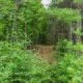 Lot 3 Off Church Rd, , Conover,  WI 54519