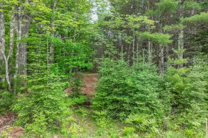 Lot 3 Off Church Rd, , Conover,  WI 54519