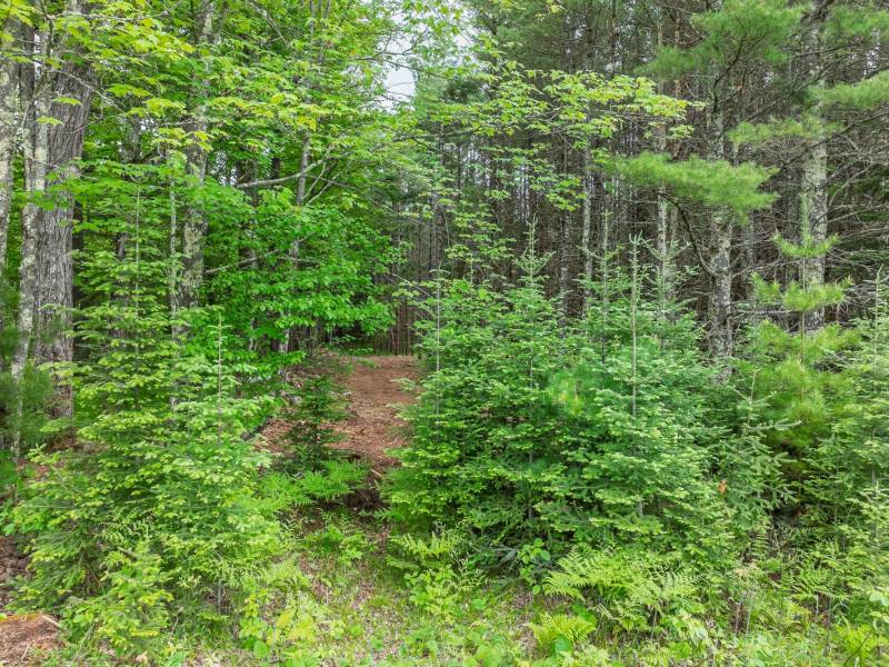 Lot 3 Off Church Rd, , Conover,  WI 54519