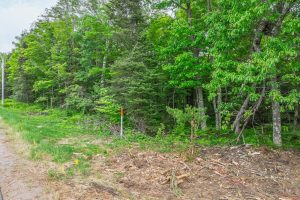 Lot 3 Off Church Rd, , Conover,  WI 54519