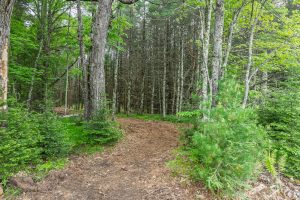 Lot 3 Off Church Rd, , Conover,  WI 54519