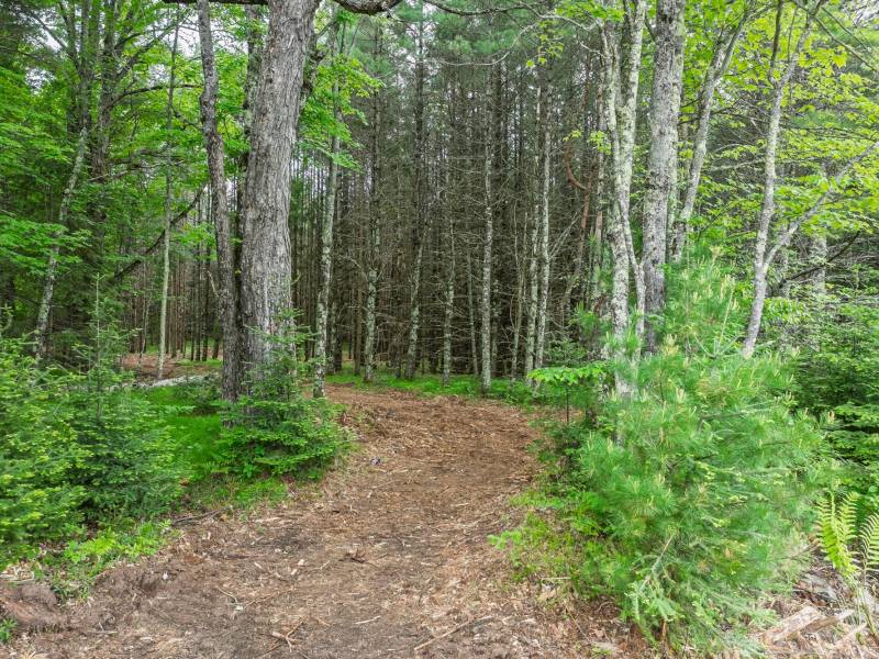 Lot 3 Off Church Rd, , Conover,  WI 54519