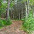 Lot 3 Off Church Rd, , Conover,  WI 54519