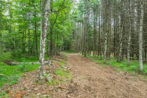 Lot 3 Off Church Rd, , Conover,  WI 54519