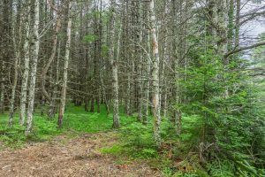 Lot 3 Off Church Rd, , Conover,  WI 54519