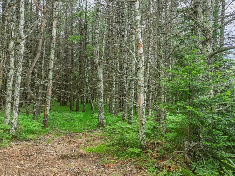 Lot 3 Off Church Rd, , Conover,  WI 54519