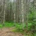Lot 3 Off Church Rd, , Conover,  WI 54519