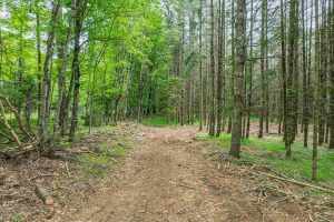 Lot 3 Off Church Rd, , Conover,  WI 54519