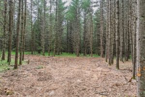 Lot 3 Off Church Rd, , Conover,  WI 54519