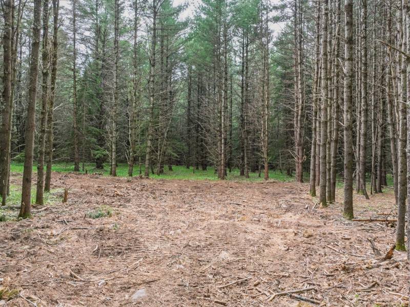 Lot 3 Off Church Rd, , Conover,  WI 54519