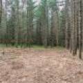 Lot 3 Off Church Rd, , Conover,  WI 54519