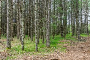 Lot 3 Off Church Rd, , Conover,  WI 54519