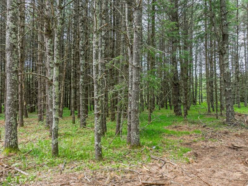 Lot 3 Off Church Rd, , Conover,  WI 54519