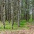 Lot 3 Off Church Rd, , Conover,  WI 54519