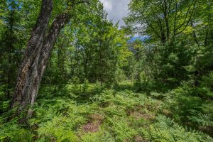 Lot 4 Off Watersmeet Lake Rd, , Eagle River,  WI 54521