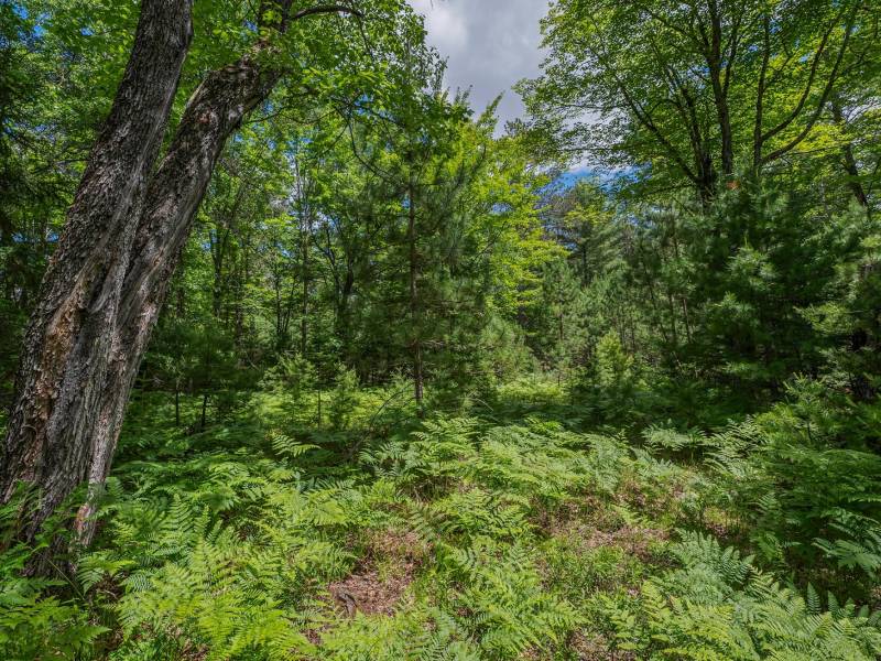Lot 4 Off Watersmeet Lake Rd, , Eagle River,  WI 54521