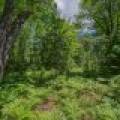 Lot 4 Off Watersmeet Lake Rd, , Eagle River,  WI 54521