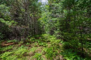 Lot 4 Off Watersmeet Lake Rd, , Eagle River,  WI 54521