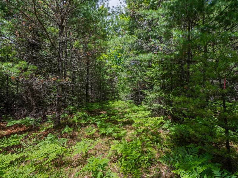 Lot 4 Off Watersmeet Lake Rd, , Eagle River,  WI 54521