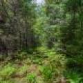 Lot 4 Off Watersmeet Lake Rd, , Eagle River,  WI 54521