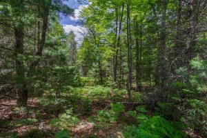 Lot 4 Off Watersmeet Lake Rd, , Eagle River,  WI 54521