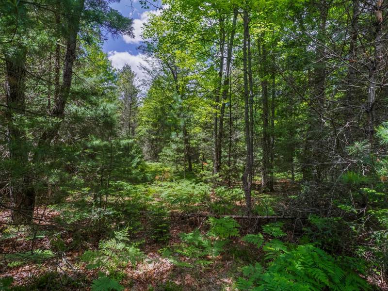 Lot 4 Off Watersmeet Lake Rd, , Eagle River,  WI 54521