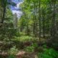 Lot 4 Off Watersmeet Lake Rd, , Eagle River,  WI 54521