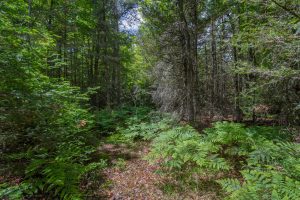 Lot 4 Off Watersmeet Lake Rd, , Eagle River,  WI 54521