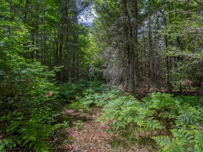 Lot 4 Off Watersmeet Lake Rd, , Eagle River,  WI 54521