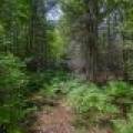 Lot 4 Off Watersmeet Lake Rd, , Eagle River,  WI 54521