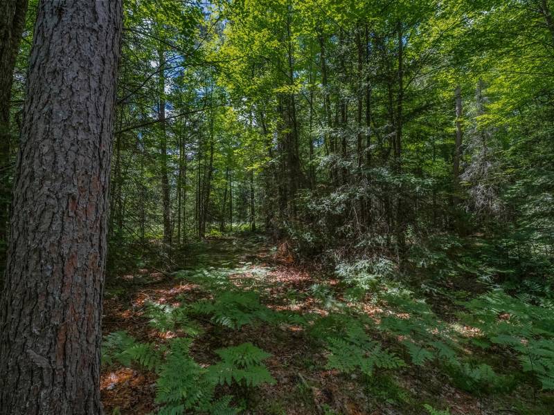 Lot 4 Off Watersmeet Lake Rd, , Eagle River,  WI 54521