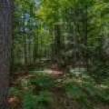 Lot 4 Off Watersmeet Lake Rd, , Eagle River,  WI 54521