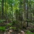 Lot 4 Off Watersmeet Lake Rd, , Eagle River,  WI 54521