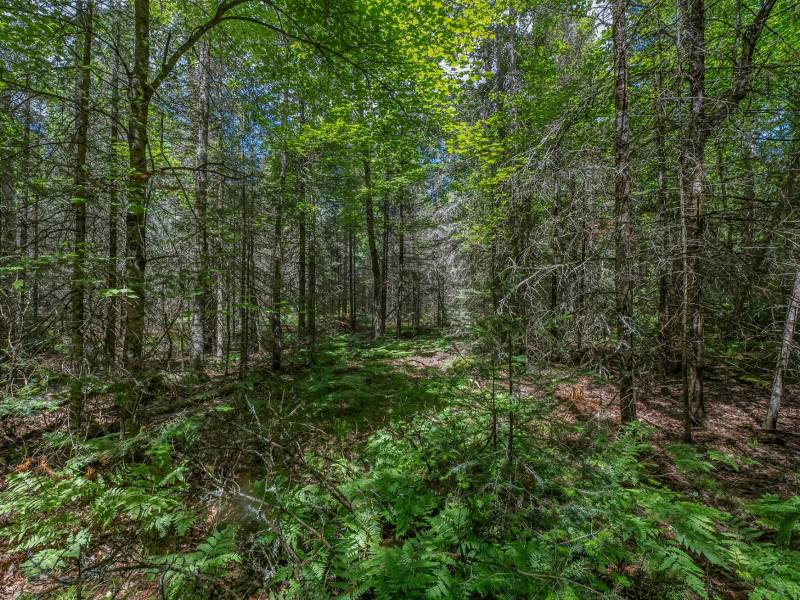 Lot 4 Off Watersmeet Lake Rd, , Eagle River,  WI 54521