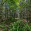 Lot 4 Off Watersmeet Lake Rd, , Eagle River,  WI 54521