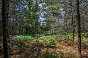 Lot 4 Off Watersmeet Lake Rd, , Eagle River,  WI 54521