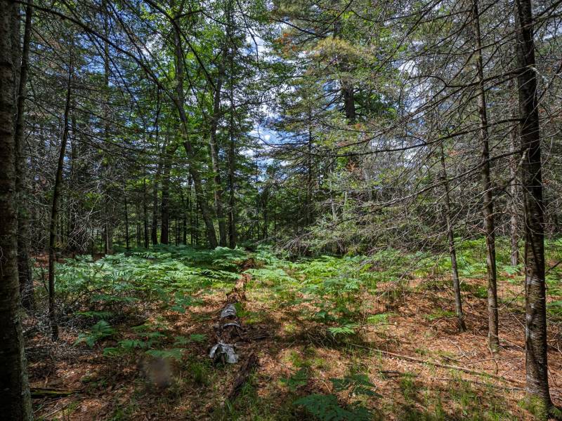Lot 4 Off Watersmeet Lake Rd, , Eagle River,  WI 54521