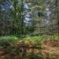 Lot 4 Off Watersmeet Lake Rd, , Eagle River,  WI 54521