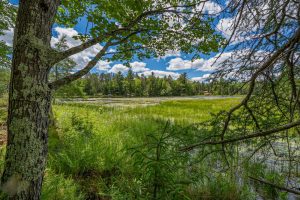 Lot 4 Off Watersmeet Lake Rd, , Eagle River,  WI 54521