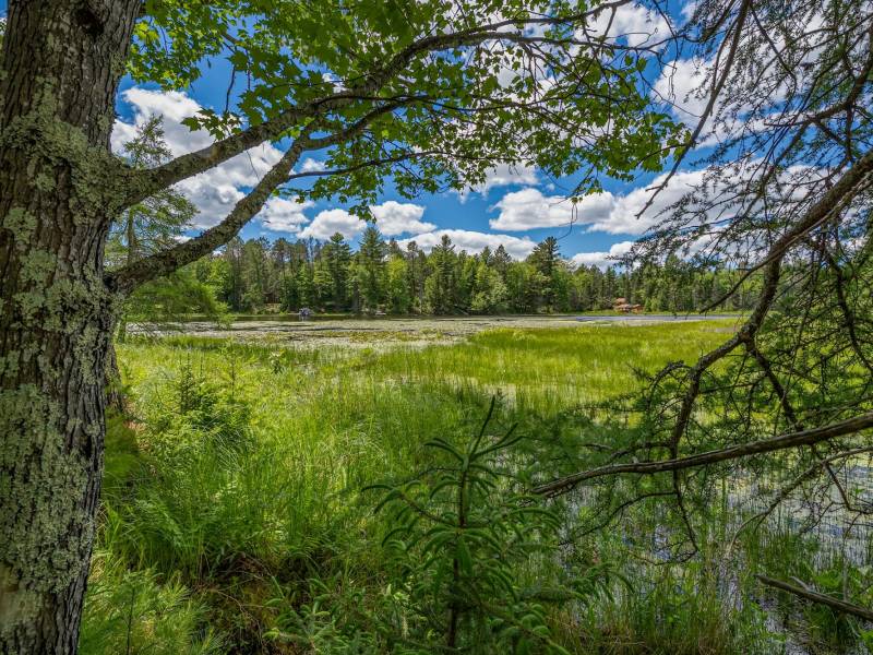 Lot 4 Off Watersmeet Lake Rd, , Eagle River,  WI 54521