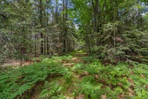 Lot 4 Off Watersmeet Lake Rd, , Eagle River,  WI 54521