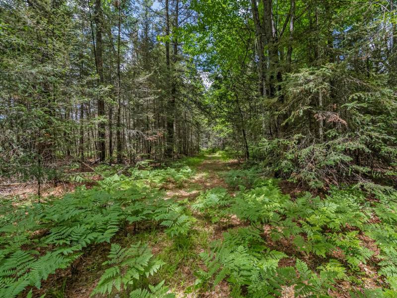 Lot 4 Off Watersmeet Lake Rd, , Eagle River,  WI 54521