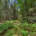 Lot 4 Off Watersmeet Lake Rd, , Eagle River,  WI 54521