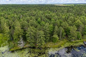 Lot 4 Off Watersmeet Lake Rd, , Eagle River,  WI 54521