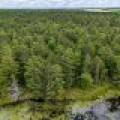 Lot 4 Off Watersmeet Lake Rd, , Eagle River,  WI 54521