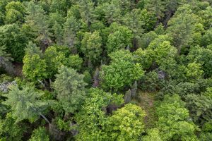 Lot 4 Off Watersmeet Lake Rd, , Eagle River,  WI 54521