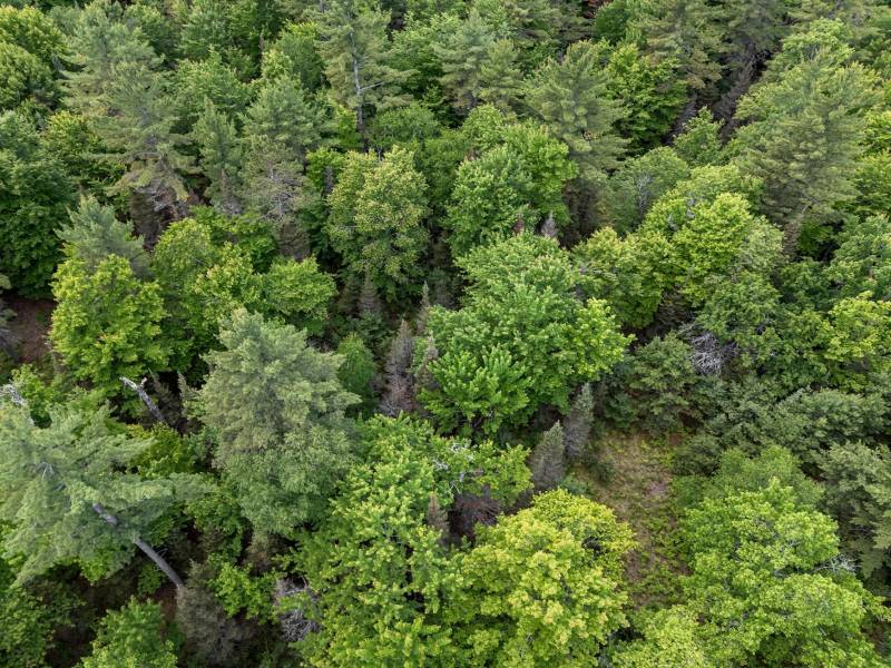 Lot 4 Off Watersmeet Lake Rd, , Eagle River,  WI 54521