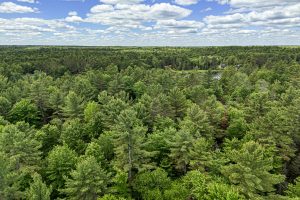 Lot 4 Off Watersmeet Lake Rd, , Eagle River,  WI 54521