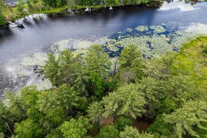 Lot 4 Off Watersmeet Lake Rd, , Eagle River,  WI 54521