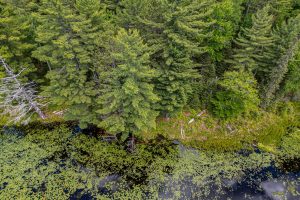 Lot 4 Off Watersmeet Lake Rd, , Eagle River,  WI 54521